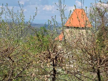 Pogled na grad Podsreda iz Lovske koče